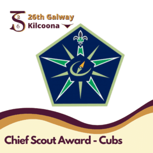 Scout Foundation NI - Scouting